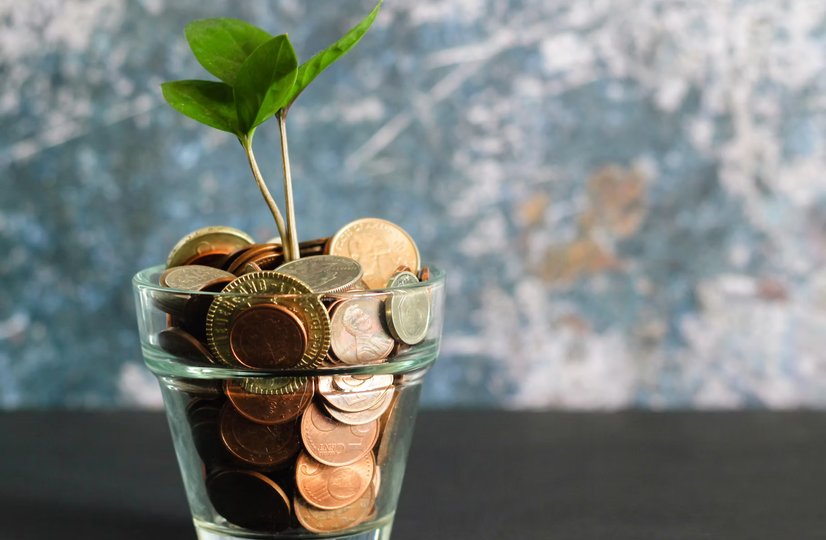pennies in a pot, with a sapling growing